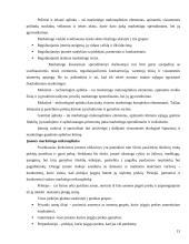 Marketingo programos kūrimas 11 puslapis