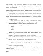 Marketingo programos kūrimas 17 puslapis