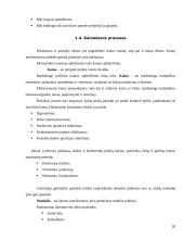 Marketingo programos kūrimas 18 puslapis