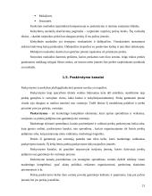 Marketingo programos kūrimas 19 puslapis