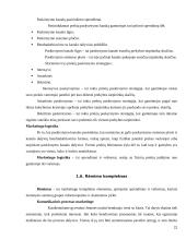 Marketingo programos kūrimas 20 puslapis