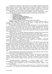 Mažmeninės prekybos įmonės 5 puslapis