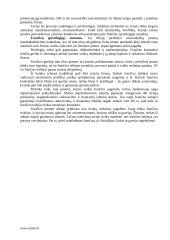 Mažmeninės prekybos įmonės 7 puslapis