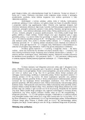Mėsinių avių auginimo perspektyvos Lietuvoje 10 puslapis