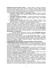 Mokesčiai ir jų funkcijos 3 puslapis