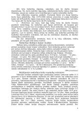Nedarbo nagrinėjimas 6 puslapis
