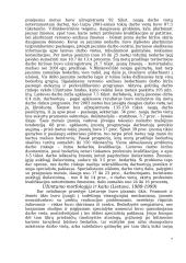 Nedarbo nagrinėjimas 7 puslapis
