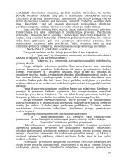 Nedarbo nagrinėjimas 10 puslapis