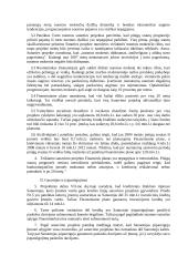 Nepriklausoma auditoriaus išvada 2 puslapis