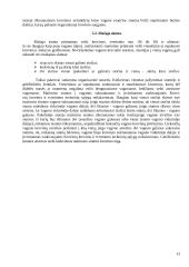 Operacijos kelyje 13 puslapis