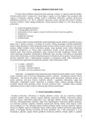 Operacijos kelyje 4 puslapis