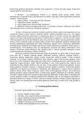 Operacijos kelyje 5 puslapis