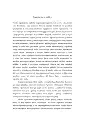 Parodų organizavimas 3 puslapis