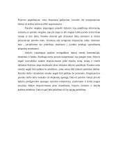 Parodų organizavimas 4 puslapis