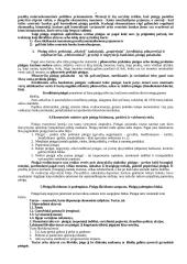 Pinigų teorija egzaminui 2 puslapis