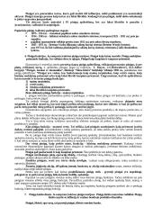 Pinigų teorija egzaminui 3 puslapis