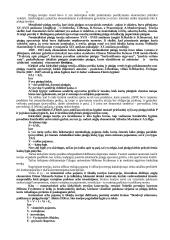 Pinigų teorija egzaminui 6 puslapis