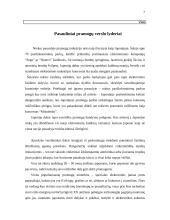 Pramogų verslas Lietuvoje: Palanga 6 puslapis