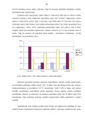 Radijo stočių veiklos analizė 18 puslapis