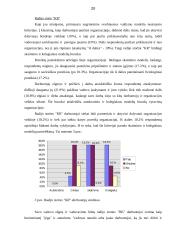 Radijo stočių veiklos analizė 20 puslapis