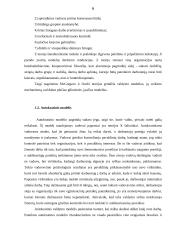 Radijo stočių veiklos analizė 6 puslapis