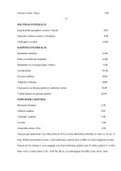 Restorano analizė 17 puslapis