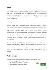 "X" produkto analizė 3 puslapis