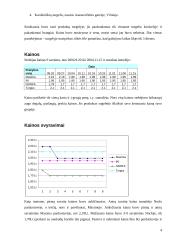 "X" produkto analizė 4 puslapis