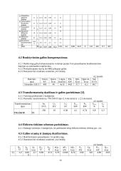 Skirstomieji tinklai 20 puslapis
