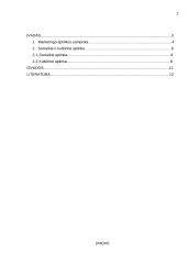 Socialinė įtaka marketingui 2 puslapis