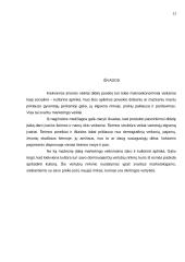 Socialinė įtaka marketingui 13 puslapis