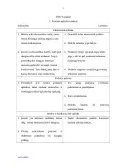 "X" įmonės analizė 2 puslapis