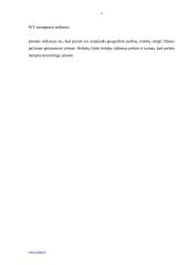 "X" įmonės analizė 5 puslapis