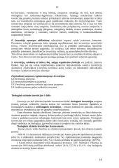 Užsienio investicijos daromos Lietuvoje 11 puslapis
