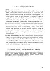 Užsienio investicijos daromos Lietuvoje 17 puslapis