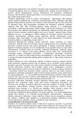 Užsienio investicijos daromos Lietuvoje 19 puslapis