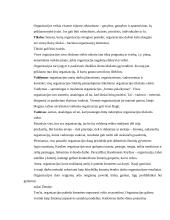 Vadyba ir valdymas 2 puslapis