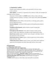 Vadyba ir valdymas 5 puslapis