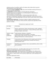 Vadyba ir valdymas 6 puslapis