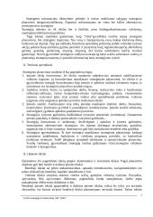 "X" įmonės verslo strategija 2 puslapis