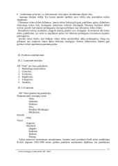 "X" įmonės verslo strategija 12 puslapis