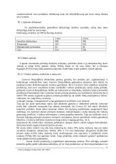 "X" įmonės verslo strategija 13 puslapis