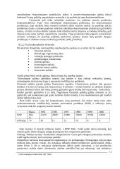 "X" įmonės verslo strategija 14 puslapis