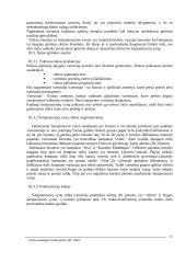 "X" įmonės verslo strategija 15 puslapis