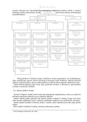 "X" įmonės verslo strategija 3 puslapis