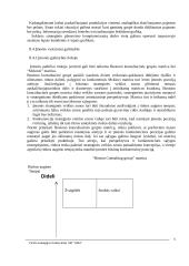 "X" įmonės verslo strategija 6 puslapis