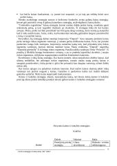 "X" įmonės verslo strategija 9 puslapis