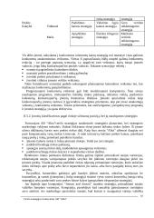 "X" įmonės verslo strategija 10 puslapis