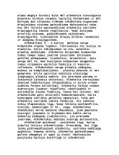 Alkoholio poveikis įvairiems organams 8 puslapis