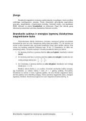 Branduolio magnetinio rezonanso spektroskopija 2 puslapis